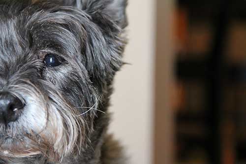 让数学理论为PPT设计撑腰