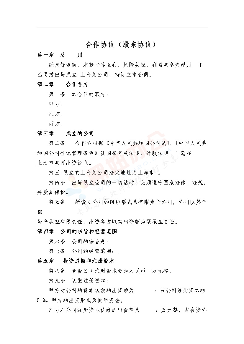 股东协议 股东合伙协议